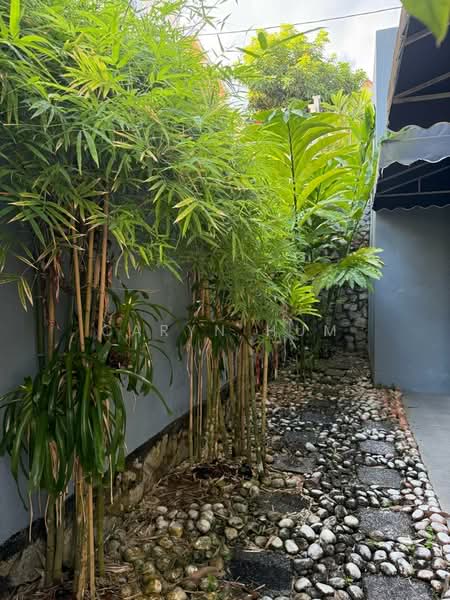 Bungalow for Rent in Batu Ferringhi (Penang) - Caryn Hum - PropertyGuru.com.my