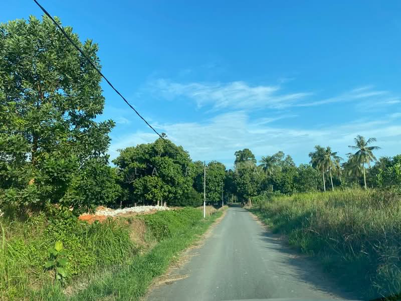 Industrial Land for Sale in Pusat Perindustrian Tanjung Pelepas (Gelang Patah) - Claire Lai - PropertyGuru.com.my