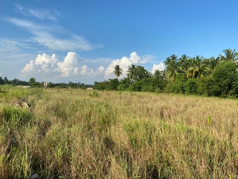 Industrial Land for Sale in Pusat Perindustrian Tanjung Pelepas (Gelang Patah) - Claire Lai - PropertyGuru.com.my