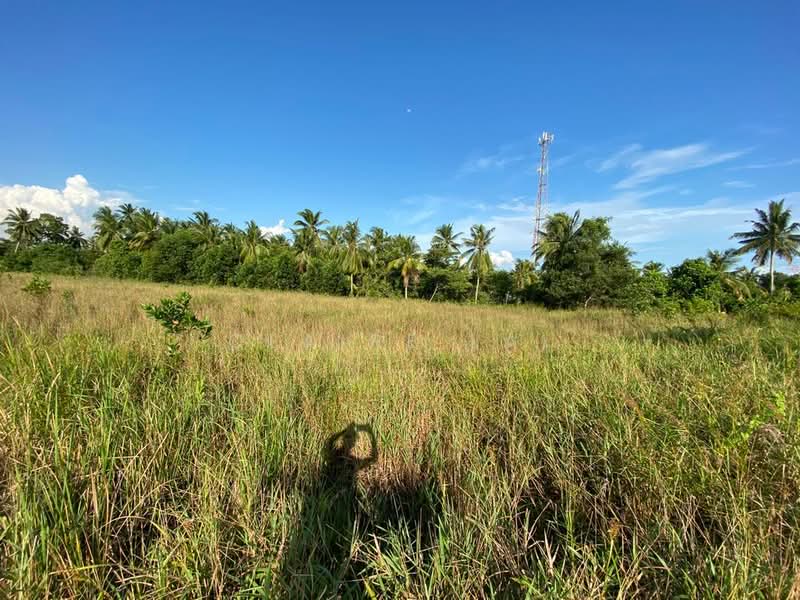 Industrial Land for Sale in Pusat Perindustrian Tanjung Pelepas (Gelang Patah) - Claire Lai - PropertyGuru.com.my