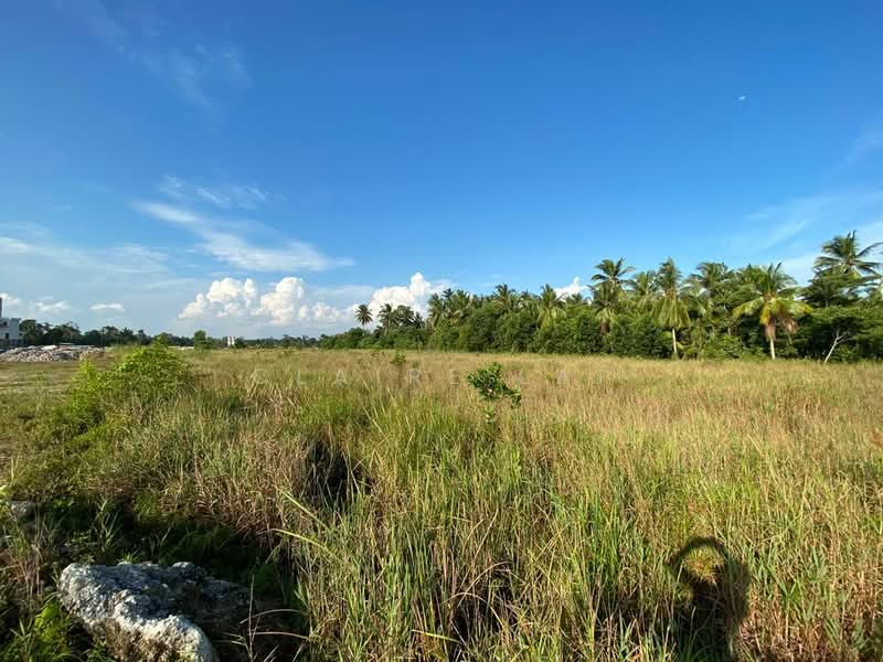 Industrial Land for Sale in Pusat Perindustrian Tanjung Pelepas (Gelang Patah) - Claire Lai - PropertyGuru.com.my