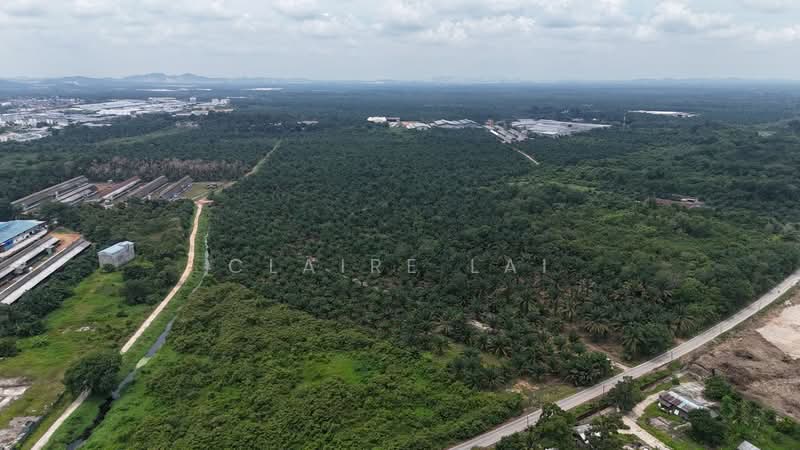 Agricultural Land for Sale in Pekan Nenas (Jeram Batu) - Claire Lai - PropertyGuru.com.my