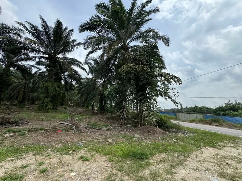 Agricultural Land for Sale in Pekan Nenas (Jeram Batu) - Claire Lai - Exterior - PropertyGuru.com.my