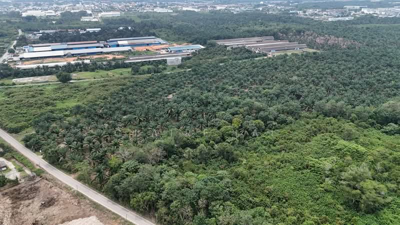 Agricultural Land for Sale in Pekan Nenas (Jeram Batu) - Claire Lai - PropertyGuru.com.my