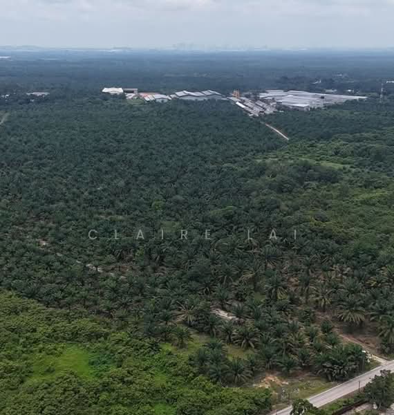 Agricultural Land for Sale in Pekan Nenas (Jeram Batu) - Claire Lai - PropertyGuru.com.my