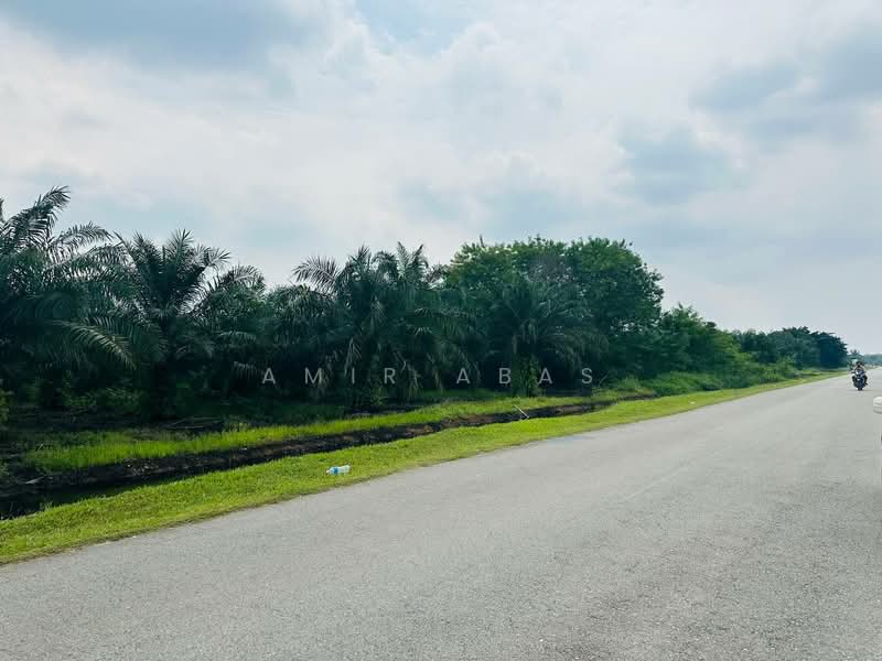 Agricultural Land for Sale in Jenjarom (Selangor) - Amir Abas - Exterior - PropertyGuru.com.my