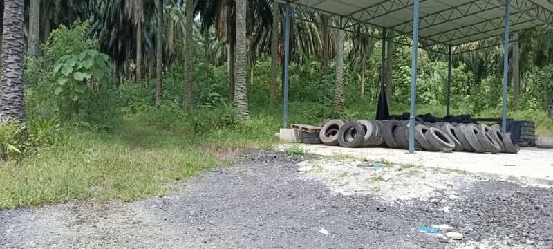 Tanah Pertanian untuk Dijual di Bukit Mertajam (Penang) - Muhammad Muadz - Exterior - PropertyGuru.com.my
