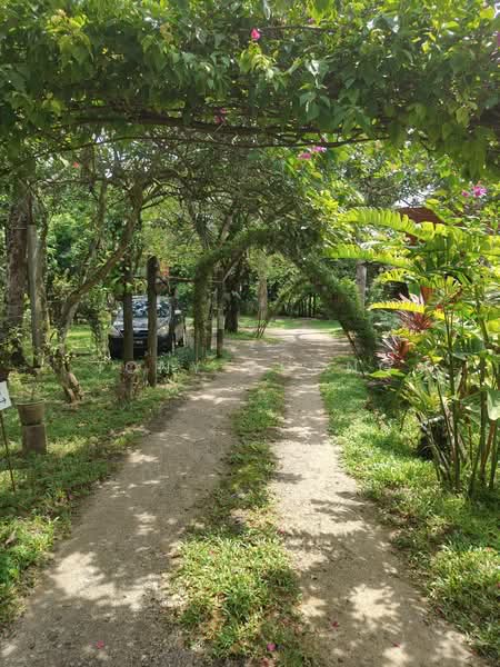 Hotel / Resort untuk Dijual di Johor Bahru (Johor) - Tony Chong - Exterior - PropertyGuru.com.my