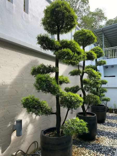 Semi-Detached House for Sale in Taman Bukit Prima (Cheras) - Billy Chan - Exterior - PropertyGuru.com.my