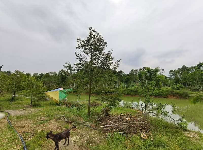 Tanah Pertanian untuk Dijual di Johor Bahru (Johor) - K S Ong - Garden - PropertyGuru.com.my