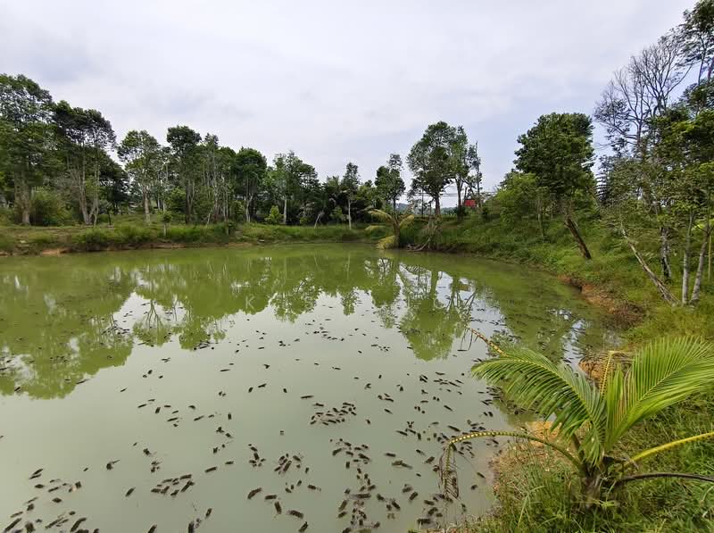 Tanah Pertanian untuk Dijual di Johor Bahru (Johor) - K S Ong - Exterior - PropertyGuru.com.my