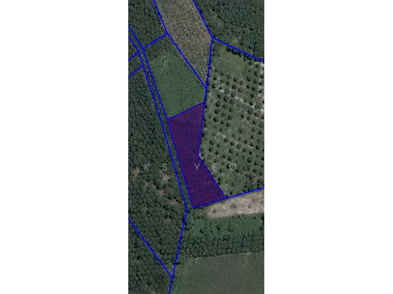 Agricultural Land for Sale in Tangkak (Johor) - KS Yeo - PropertyGuru.com.my