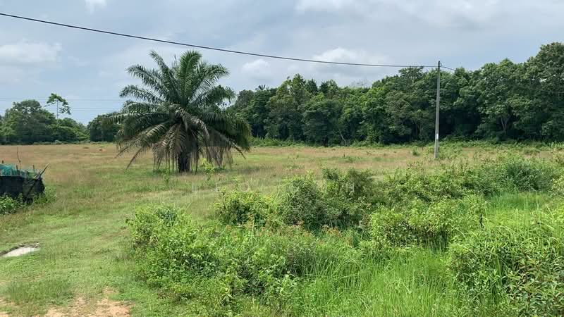 Agricultural Land for Sale in Kuantan (Pahang) - Leo Goh - Exterior - PropertyGuru.com.my