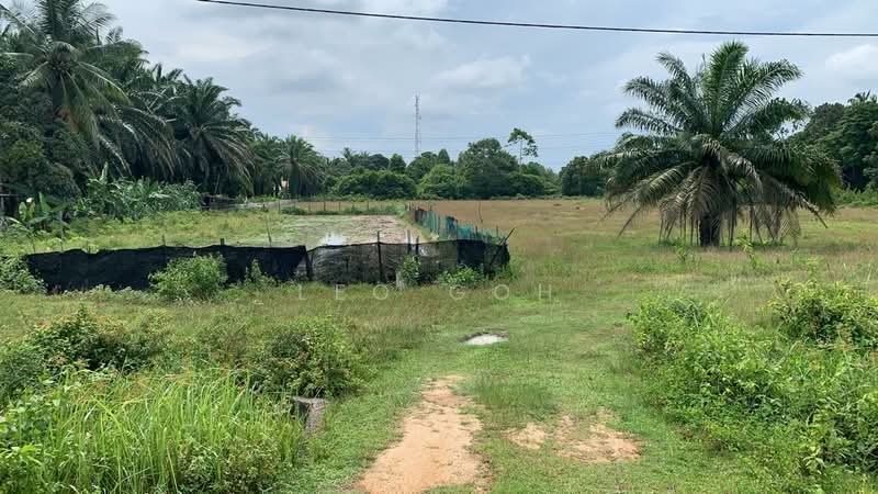Agricultural Land for Sale in Kuantan (Pahang) - Leo Goh - Exterior - PropertyGuru.com.my