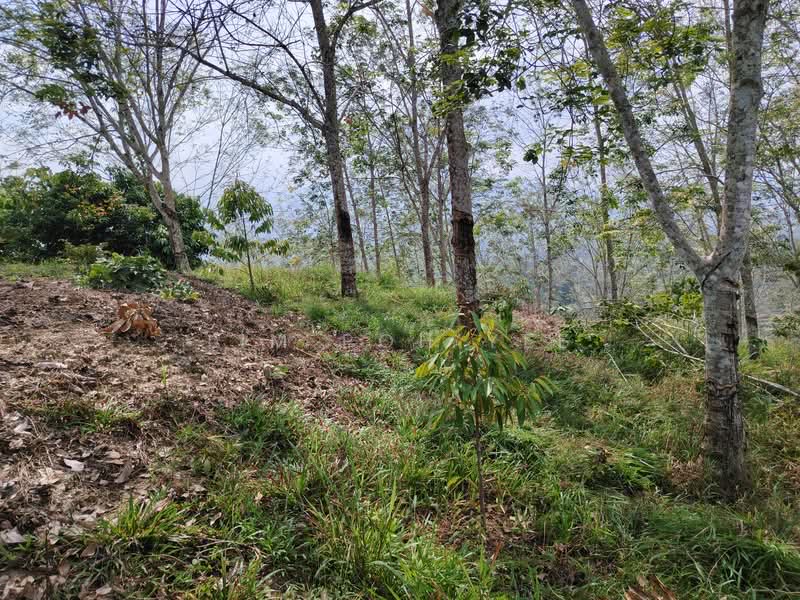 Tanah Pertanian untuk Dijual di Sungai Siput (Perak) - Lim Poh Yee - Exterior - PropertyGuru.com.my