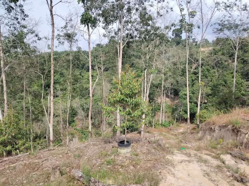 Tanah Pertanian untuk Dijual di Lenggong (Perak) - Lim Poh Yee - Exterior - PropertyGuru.com.my