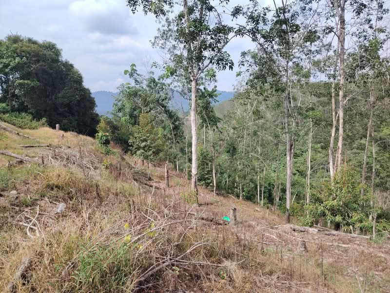 Tanah Pertanian untuk Dijual di Lenggong (Perak) - Lim Poh Yee - Exterior - PropertyGuru.com.my