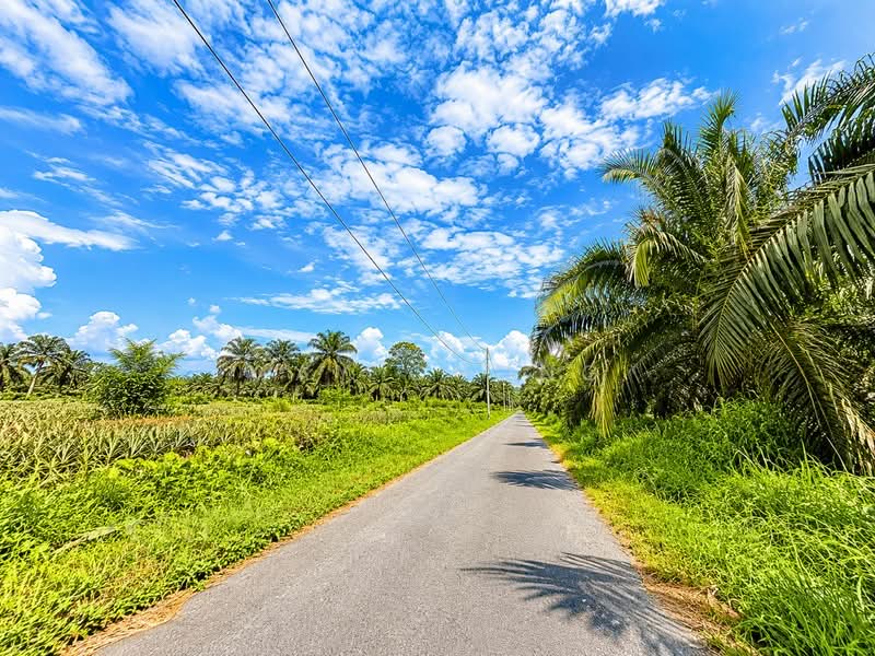 Agricultural Land for Sale in Parit Jawa Kayu Ara Pasong (Pontian) - May Chong - Exterior - PropertyGuru.com.my