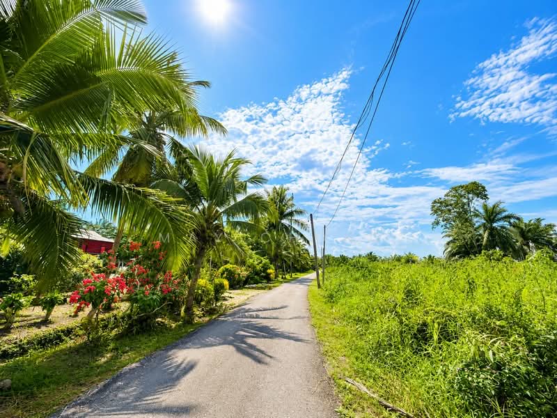 Agricultural Land for Sale in Parit Jawa Kayu Ara Pasong (Pontian) - May Chong - Exterior - PropertyGuru.com.my