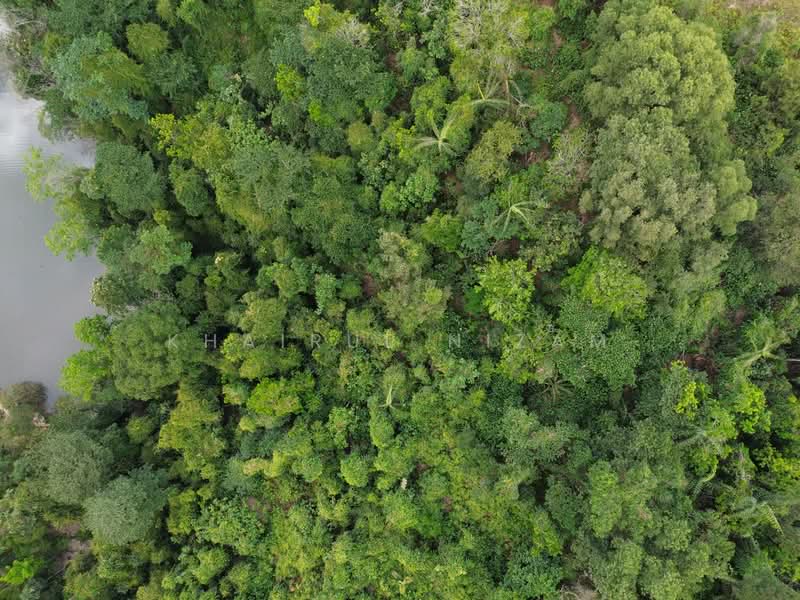 Tanah Pertanian untuk Dijual di Seri Kembangan (Selangor) - Khairul Nizam - Aerial View - PropertyGuru.com.my