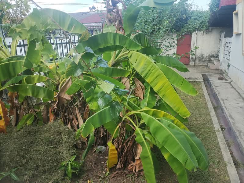 Bungalow for Sale in Taman Berkeley (Klang) - Tony Tan - Exterior - PropertyGuru.com.my