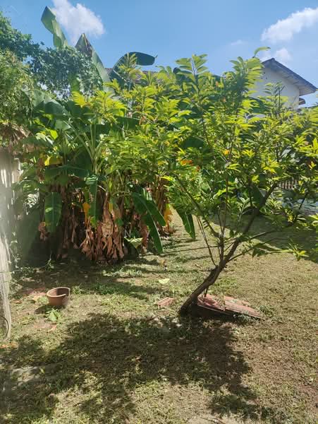 Bungalow for Sale in Taman Berkeley (Klang) - Tony Tan - Garden - PropertyGuru.com.my