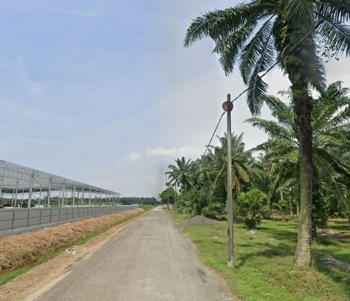 Agricultural Land for Sale in Telok Panglima Garang (Selangor) - Steve Tee - Exterior - PropertyGuru.com.my