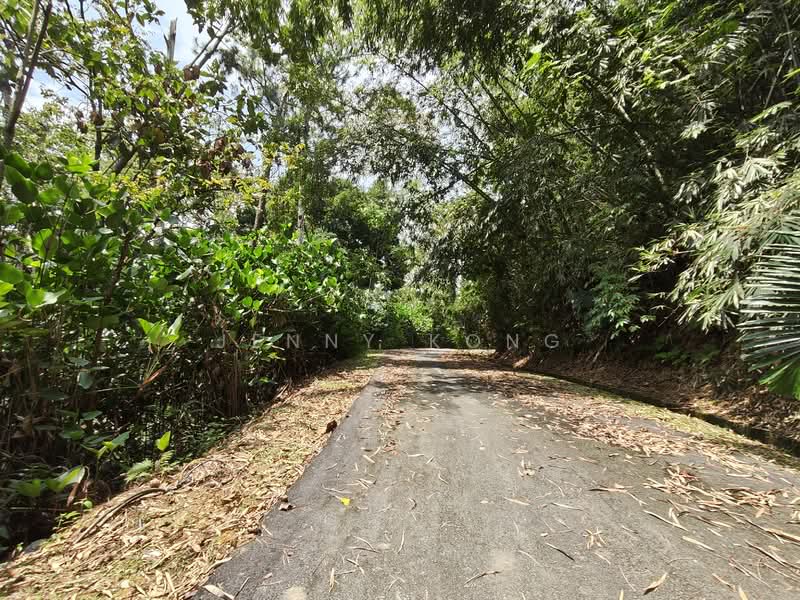 Agricultural Land for Sale in Janda Baik (Bentong) - Jenny Kong - Exterior - PropertyGuru.com.my