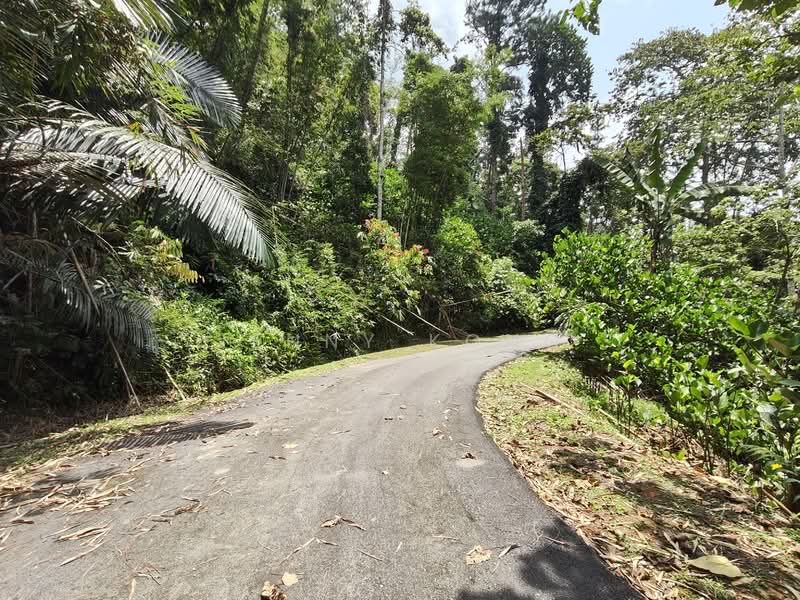 Agricultural Land for Sale in Janda Baik (Bentong) - Jenny Kong - Exterior - PropertyGuru.com.my