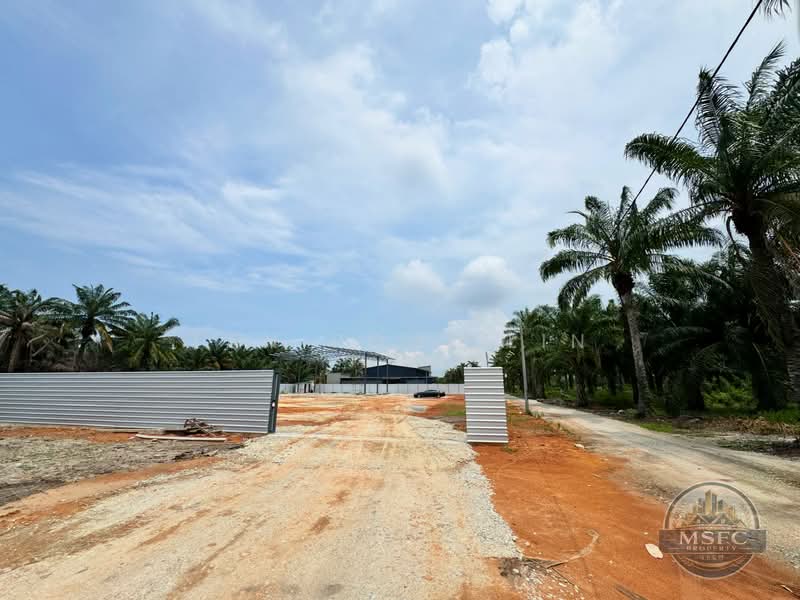 Agricultural Land for Rent in Bukit Minyak (Penang) - Tan Pooi Lin - Exterior - PropertyGuru.com.my