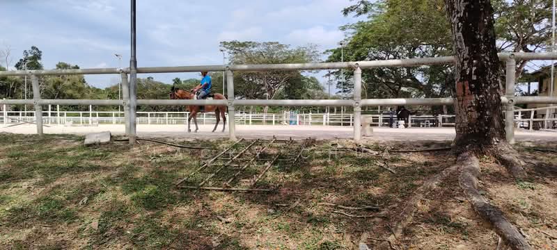Rumah Teres 2 Tingkat untuk Disewa di Leisure Farm (Gelang Patah) - Jacky Chua - Exterior - PropertyGuru.com.my