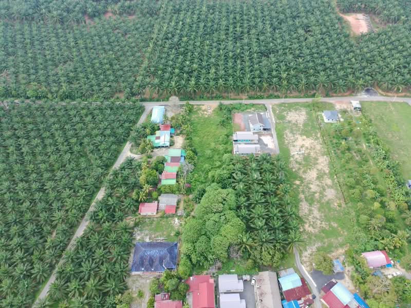 Tanah Perindustrian untuk Disewa di Kulim (Kedah) - Tommy Gan - Exterior - PropertyGuru.com.my
