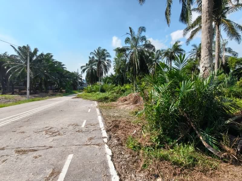 Agricultural Land for Sale in Jeram (Selangor) - Marco Mak - Exterior - PropertyGuru.com.my