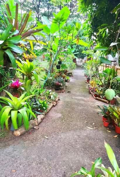 2-storey Terraced House for Sale in Alam Damai (Cheras) - Yasmin Sulaiman - Exterior - PropertyGuru.com.my