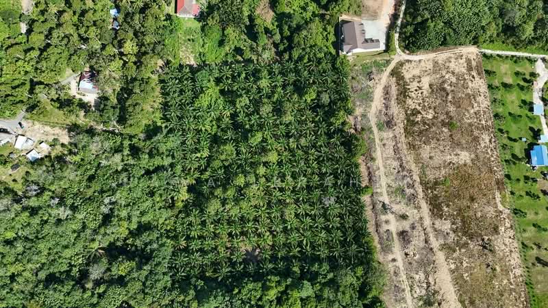 Agricultural Land for Sale in Lenggeng (Negeri Sembilan) - Hawa Ibrahim - Exterior - PropertyGuru.com.my