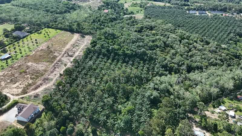 Agricultural Land for Sale in Lenggeng (Negeri Sembilan) - Hawa Ibrahim - Exterior - PropertyGuru.com.my
