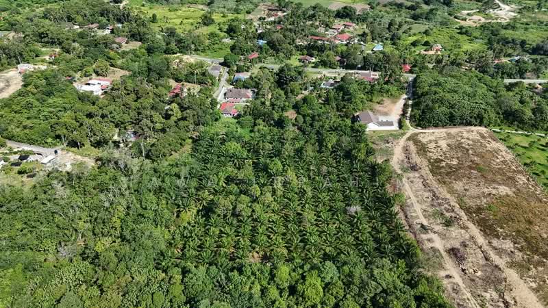 Agricultural Land for Sale in Lenggeng (Negeri Sembilan) - Hawa Ibrahim - Exterior - PropertyGuru.com.my