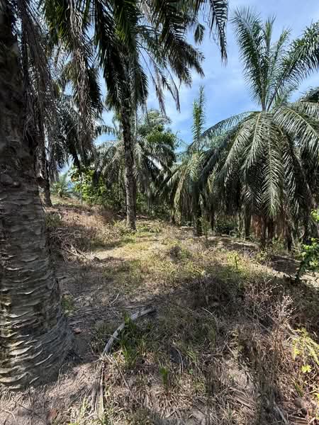 Agricultural Land for Sale in Sungai Siput (Perak) - Gary Tang - Exterior - PropertyGuru.com.my