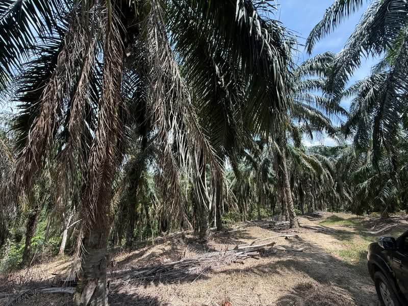 Agricultural Land for Sale in Sungai Siput (Perak) - Gary Tang - Exterior - PropertyGuru.com.my