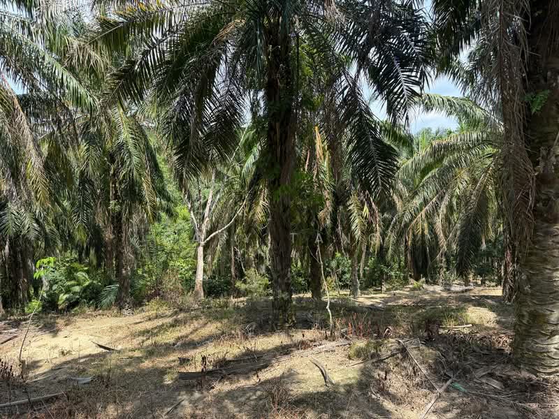 Agricultural Land for Sale in Sungai Siput (Perak) - Gary Tang - Exterior - PropertyGuru.com.my