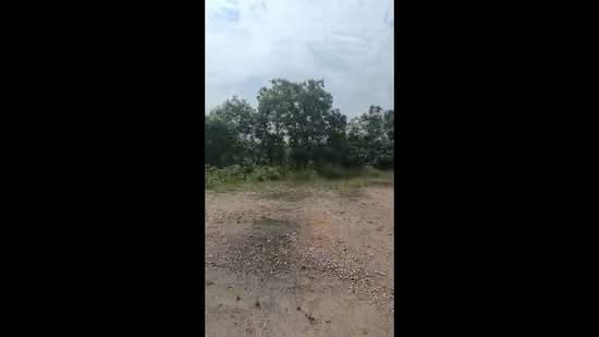 Industrial Land for Sale in Kluang (Johor) - Ms Tham - PropertyGuru.com.my