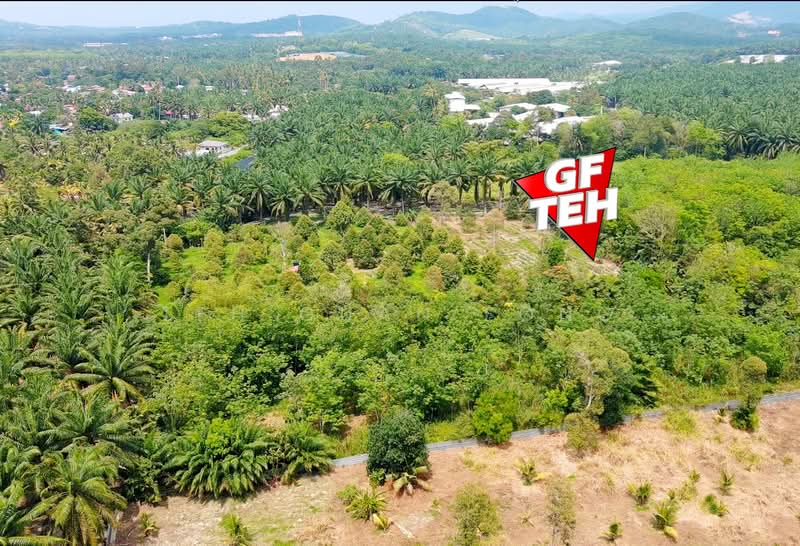 Tanah Pertanian untuk Dijual di Bukit Mertajam (Penang) - Teh Guan Fong - Exterior - PropertyGuru.com.my