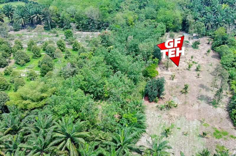 Tanah Pertanian untuk Dijual di Bukit Mertajam (Penang) - Teh Guan Fong - Exterior - PropertyGuru.com.my
