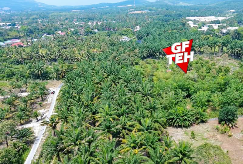 Tanah Pertanian untuk Dijual di Bukit Mertajam (Penang) - Teh Guan Fong - Exterior - PropertyGuru.com.my