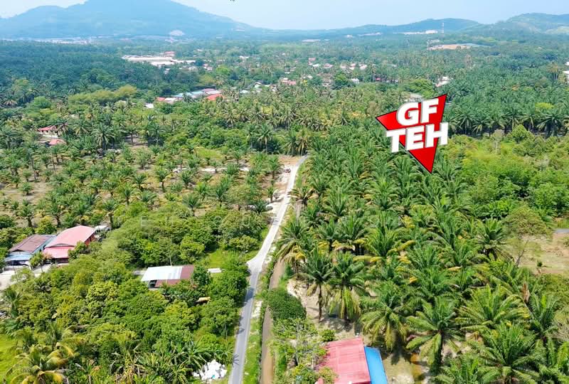 Tanah Pertanian untuk Dijual di Bukit Mertajam (Penang) - Teh Guan Fong - PropertyGuru.com.my