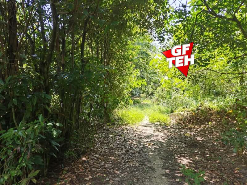 Tanah Pertanian untuk Dijual di Bukit Mertajam (Penang) - Teh Guan Fong - Garden - PropertyGuru.com.my