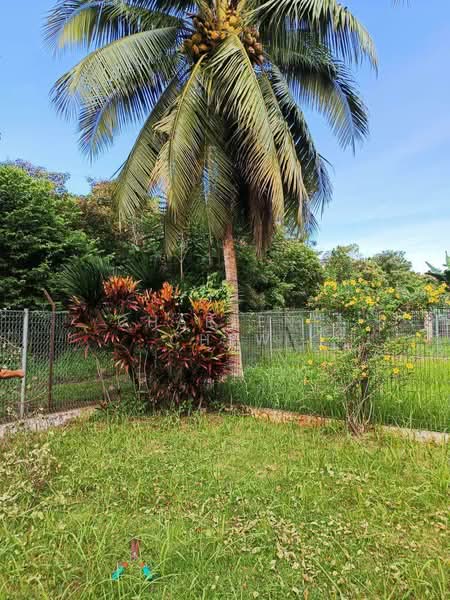 Rumah Bandar untuk Dijual di Masai (Johor) - Charlene Chew - Garden - PropertyGuru.com.my
