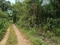 For Sale - 4.2 Acre Agriculture Land At Chaah,Yong Peng