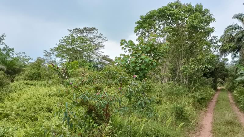Tanah Pertanian untuk Dijual di Chaah (Johor) - Seowamiga Ten - Exterior - PropertyGuru.com.my