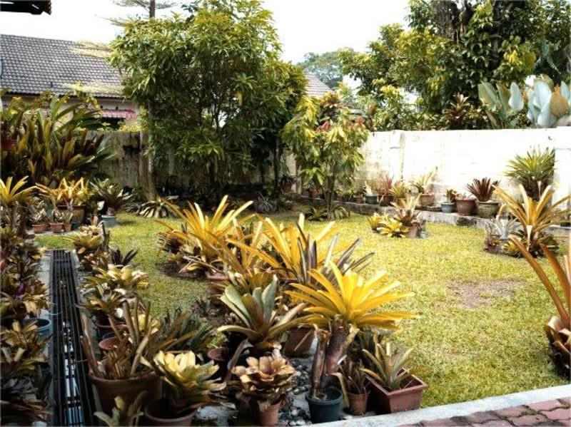 Bungalow for Rent in Seksyen 6 (Petaling Jaya) - Low Kai Seng - Garden - PropertyGuru.com.my